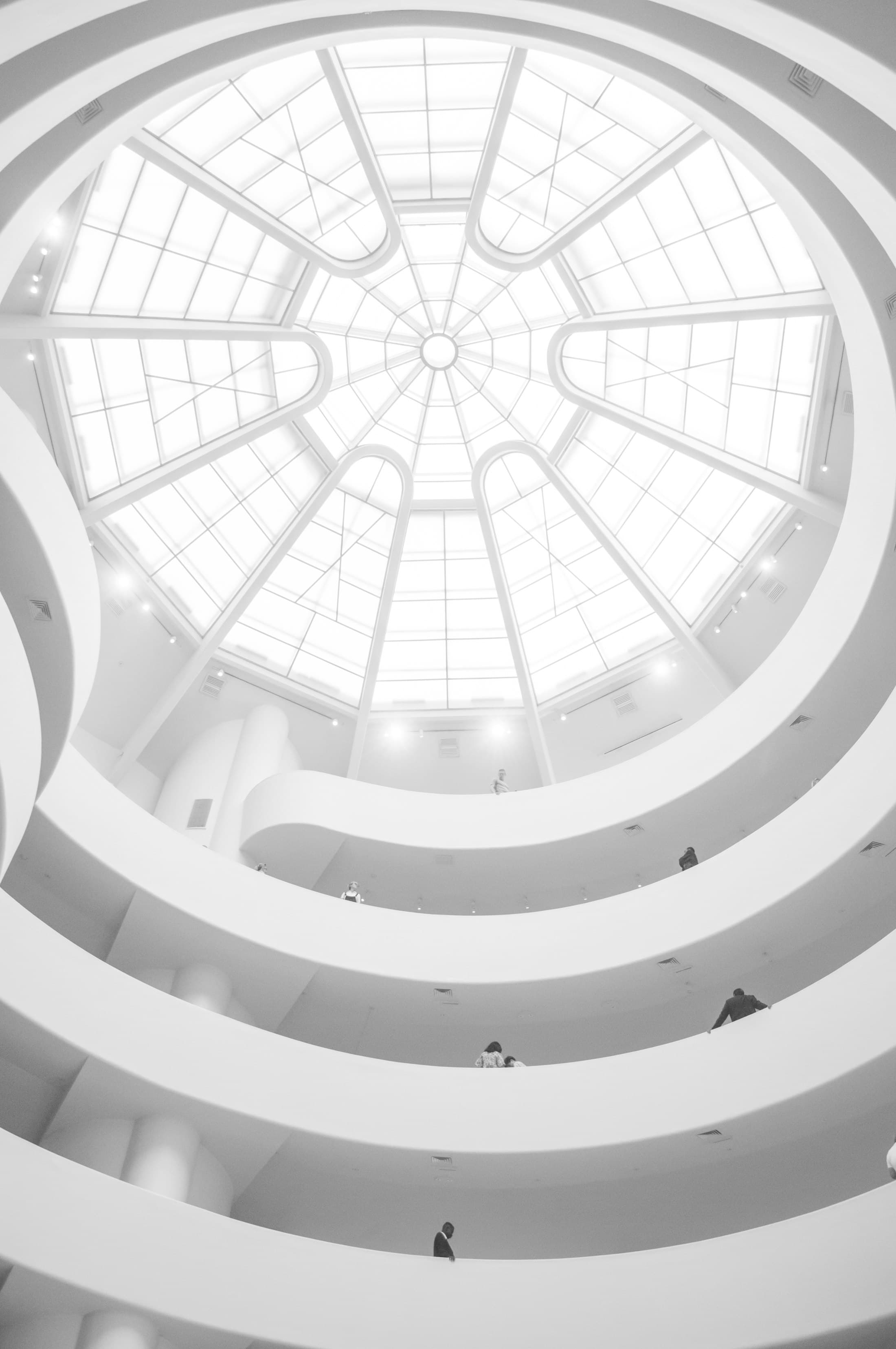 The main reading room beneath the new radial skylight — the only place where the intervention touches the sky.
