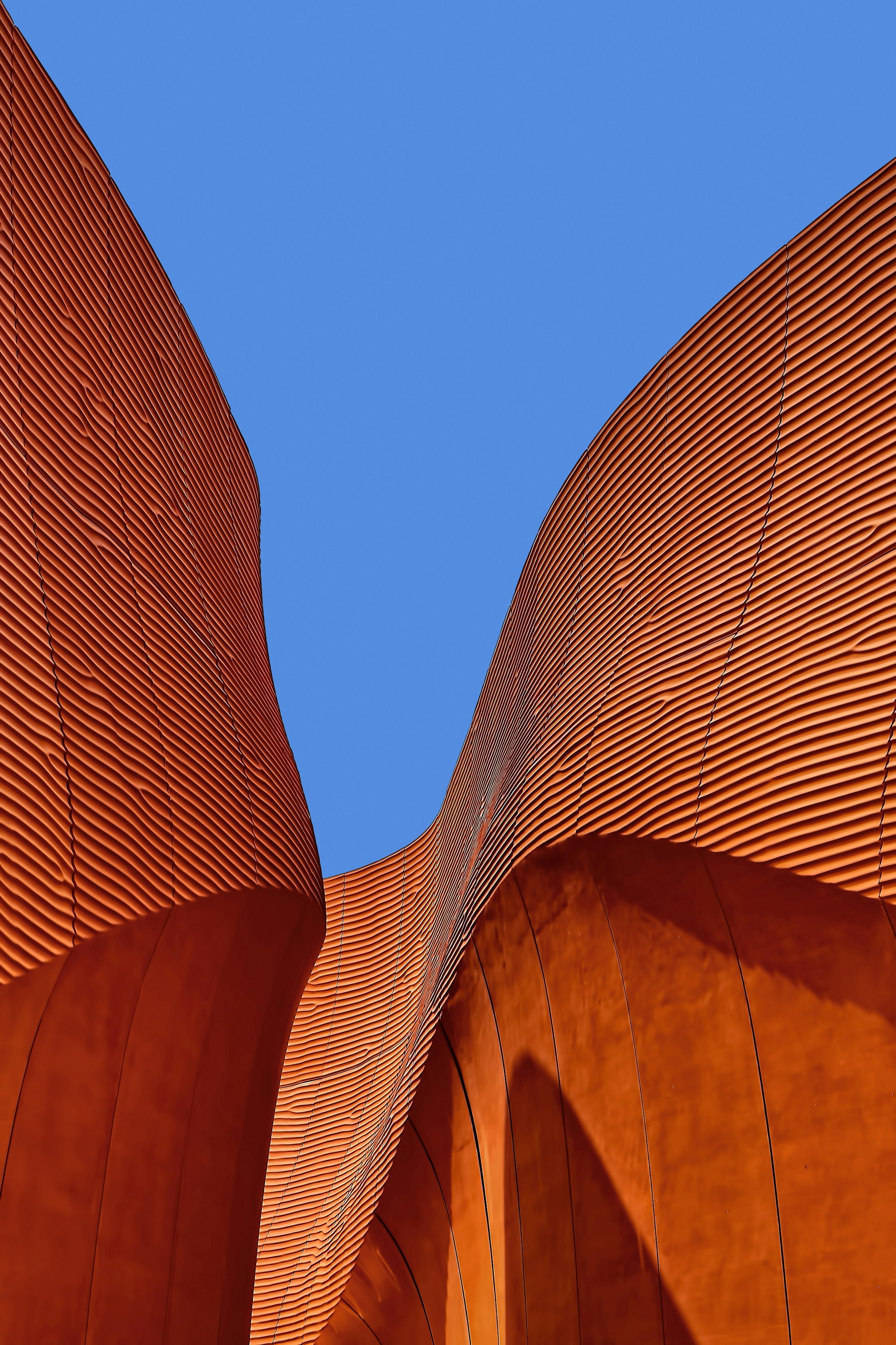 The ribbed terracotta shell rising against the afternoon sky — structural clay, fired forty minutes from the site.
