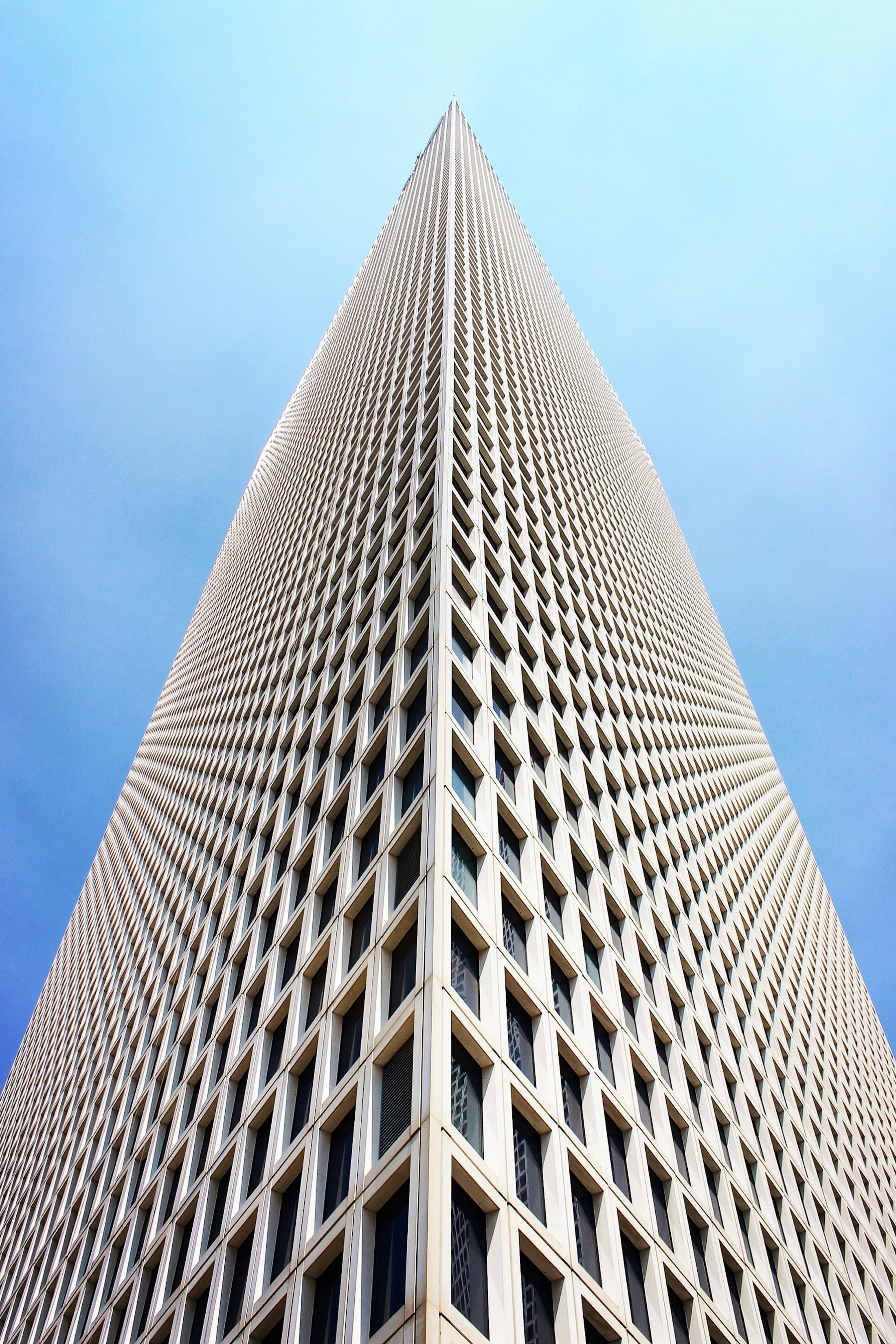 The fly tower's gridded face converging overhead — the tallest quiet room in the city.